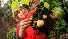 Consultation on guidelines for schools closes on Friday